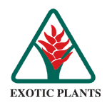 EXOTIC PLANTS
