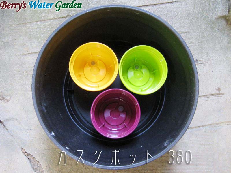 水鉢と栽培容器